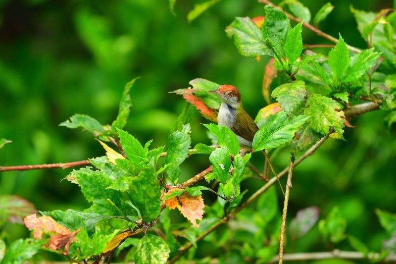 relupi-napaxu.site - Image 14